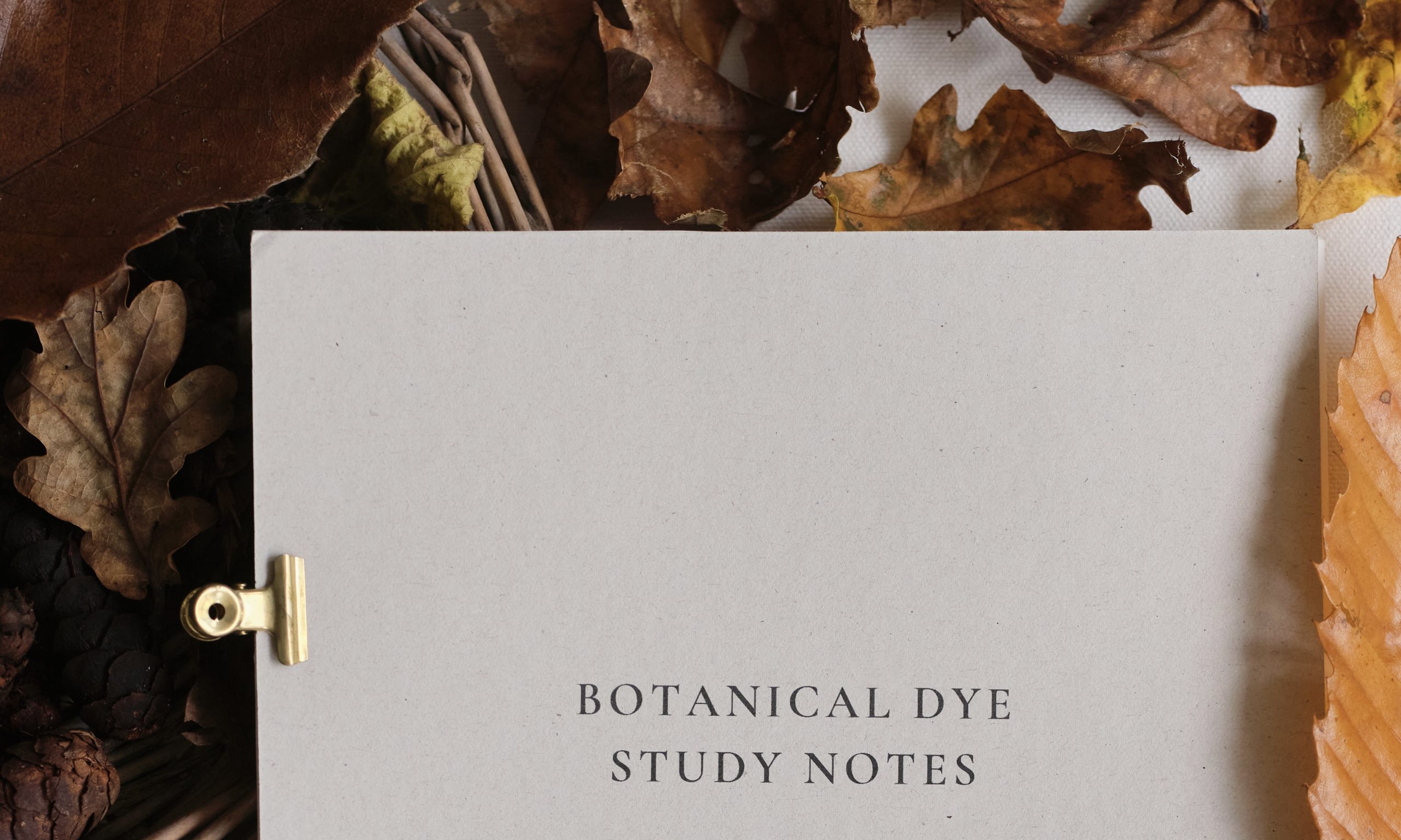 Winter 2024 – TANNINS