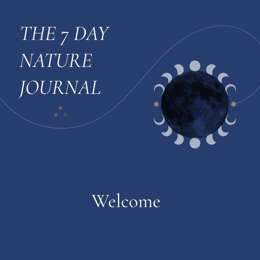The New Moon Nature Journal Workshop