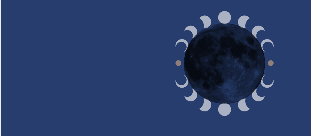 The New Moon 7 Day Nature Journal Workshop